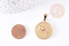 Medalla colgante redonda de acero dorado Aries, signo astrológico, colgante dorado, sin níquel, acero dorado, joyería, medalla de oro, 2,9cm, X1 G6114