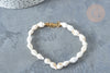 Bracelet Coquillages naturels blancs laiton doré 19,5cm, idée cadeau bijoux coquillage naturel, x1 G7803