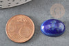 Cabochon ovale lapis lazuli naturel 18x13mm, cabochon création bijoux pierre, X1 G8673