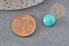 Cabochon rond jade vert aqua, pierre naturelle, jade naturel, pierre verte dôme, 12mm, X1 G0700