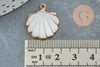 Pendentif coquillage nacre blanche naturelle doré 23mm, x1 (G3055)