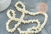 Perles coquillage beige nacre 8-14mm,Perle coquillage,coquillage naturel, fourniture créative, fil 90cm, x1 G5742