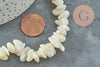 Perles coquillage beige nacre 8-14mm,Perle coquillage,coquillage naturel, fourniture créative, fil 90cm, x1 G5742