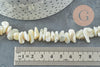 Perles coquillage beige nacre 8-14mm,Perle coquillage,coquillage naturel, fourniture créative, fil 90cm, x1 G5742