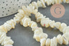 Perles coquillage beige nacre 8-14mm,Perle coquillage,coquillage naturel, fourniture créative, fil 90cm, x1 G5742