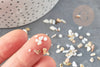 Sable coquillage nacre naturelle beige blanc 2-5mm, création bijoux et jesmonite, X 20gr G9309