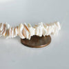 perles coquillage naturel, chips coquillages, rose clair, coquillage rose, perle coquillage, 10mm, le fil de 42 cm G3849