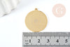 Colgante de medalla de astrología redonda 201 acero inoxidable oro 27,5 mm, creación de joyas del horóscopo, X1 G6123